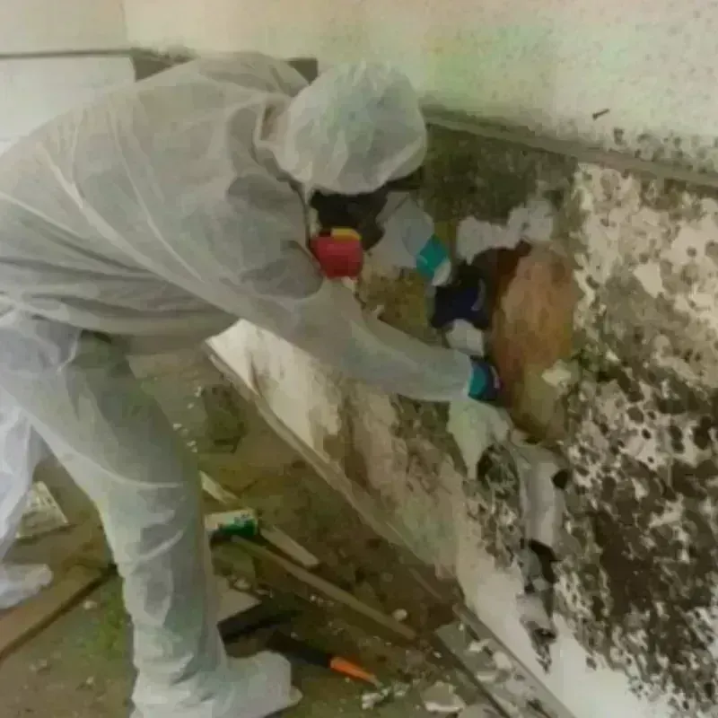 Mold Remediation and Removal in Wells Beach Station, ME